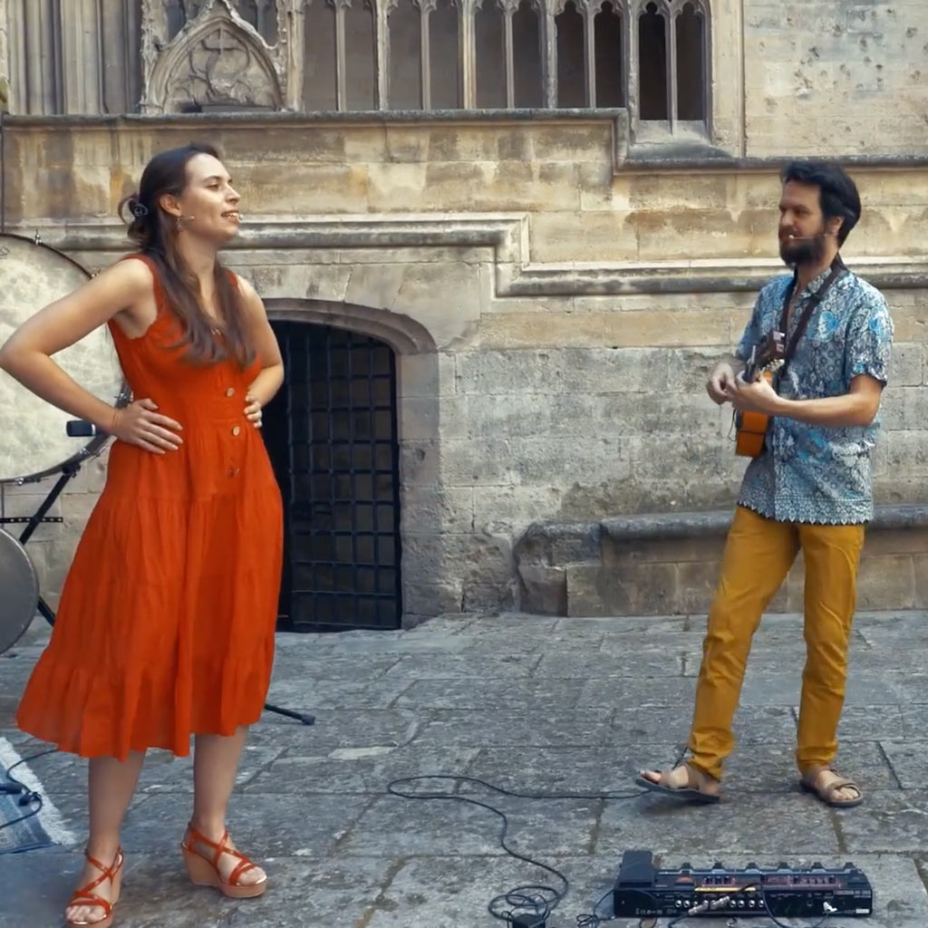 Concerts pédagogiques au collège